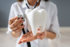 A dentist holding a tooth model